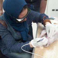 WhatsApp Image 2026-04-09 at 11.54.28 PM