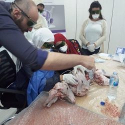 WhatsApp Image 2026-04-09 at 11.54.29 PM