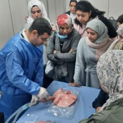 WhatsApp Image 2026-04-09 at 11.54.30 PM (3)